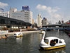 道頓堀川でスワンボート